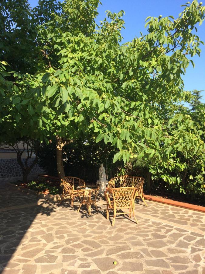 B&B "Croce Nivera" Vibo Valentia Εξωτερικό φωτογραφία
